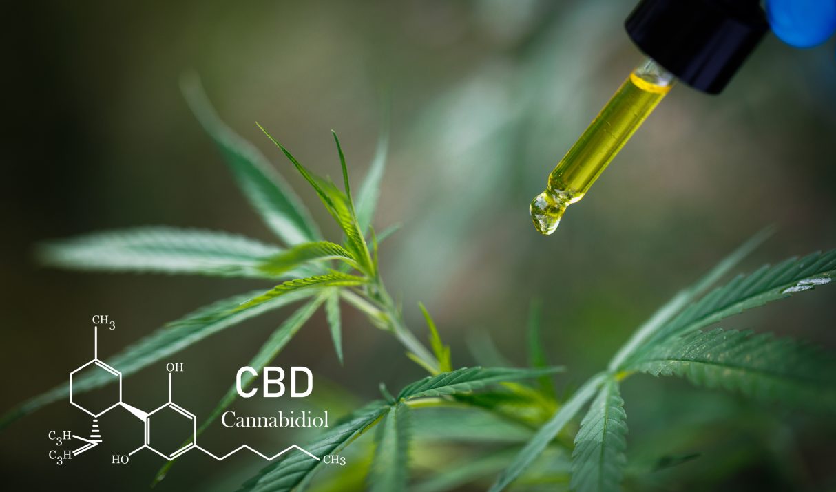 CBD Over 40: Natural Relief for Pain, Stress & Fitness