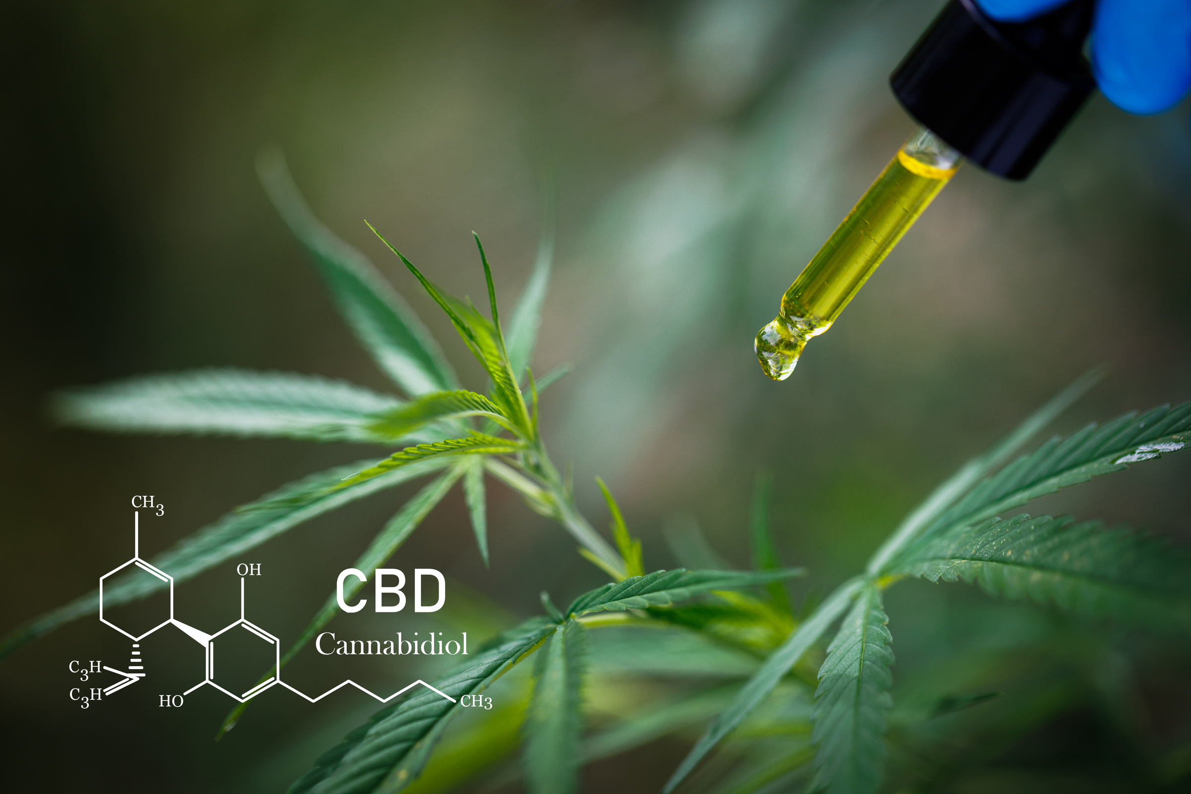 CBD Over 40: Natural Relief for Pain, Stress & Fitness